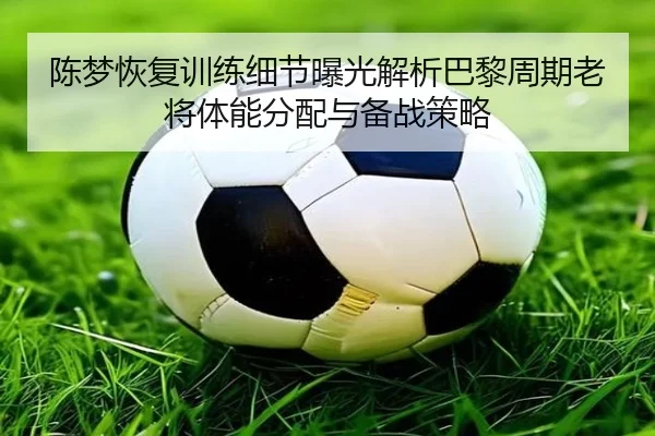 陈梦恢复训练细节曝光解析巴黎周期老将体能分配与备战策略